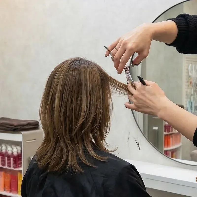 カットのイメージ